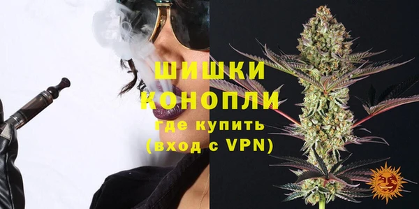 прущие грибы Магас