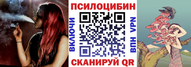 дарнет шоп Спас-Клепики Галлюциногенные грибы Psilocybe